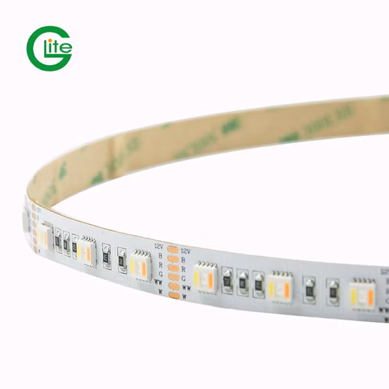 3 años de garantía tira de luz LED SMD5050 Rgbww 60LED DC24 para decoración de iluminación
